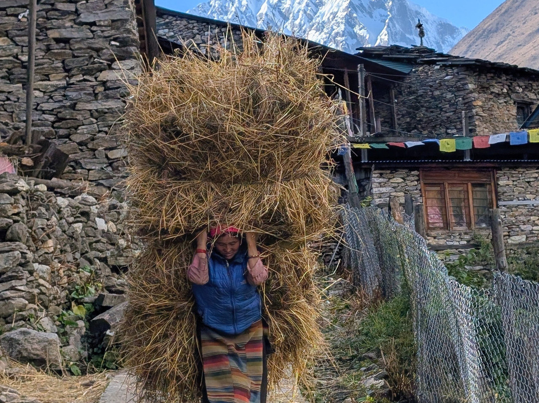 Glacier Family Treks & Expedition-加德满都必去景点