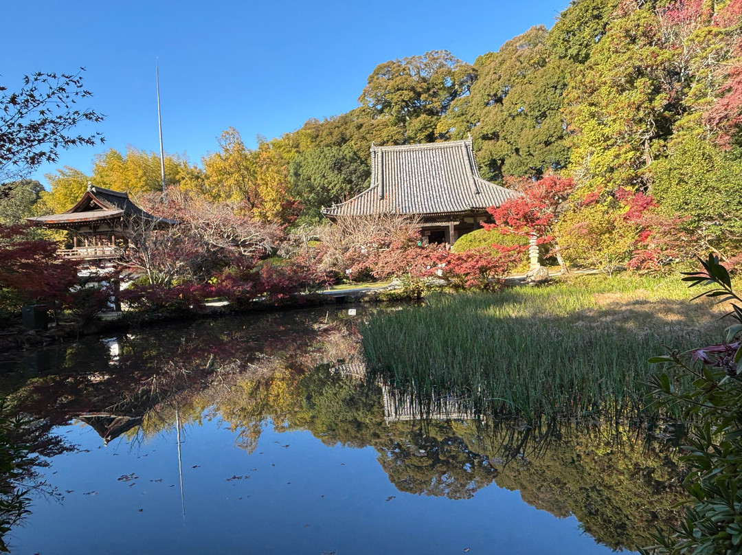 Chogaku-ji Temple-天理市必去景点