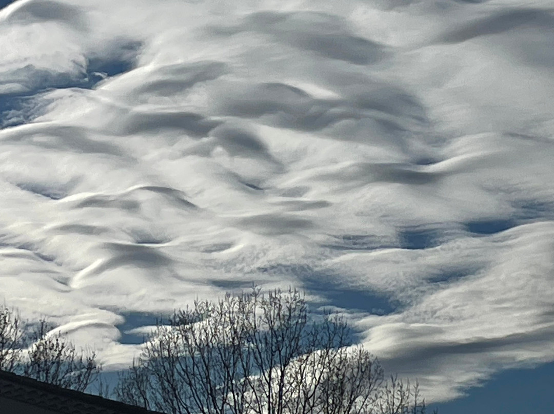 Mas de l'Ermitage主图