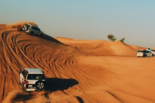 Qatar Sands Adventures