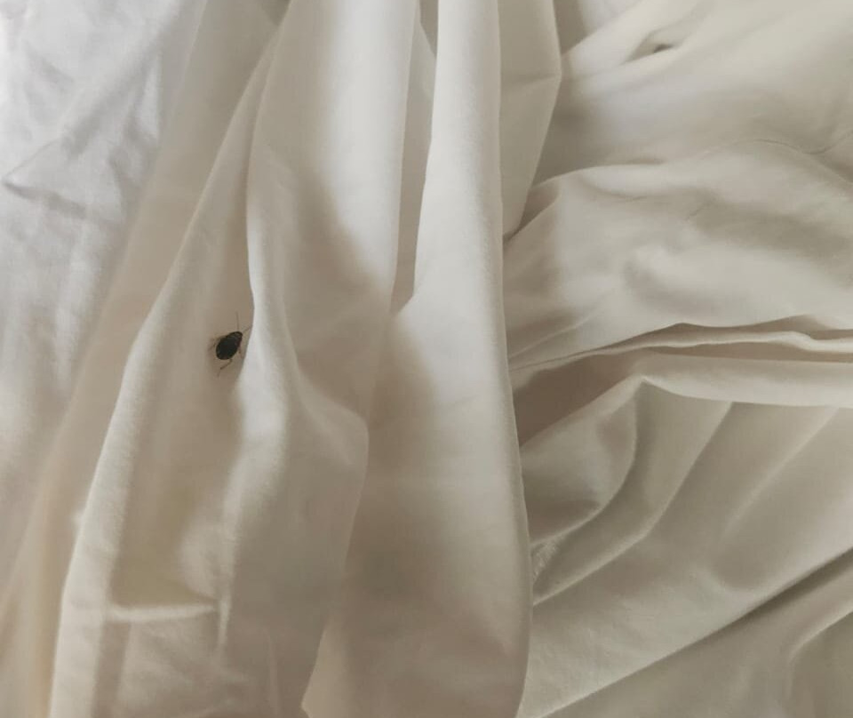 Kievits Kroon Gauteng Wine Estate主图