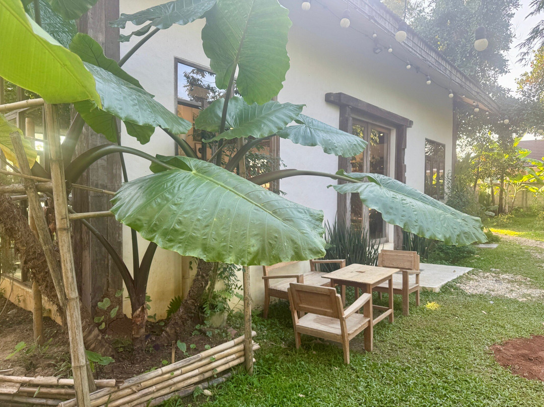 Sawanbondin Tea House & Experience-清莱必去景点