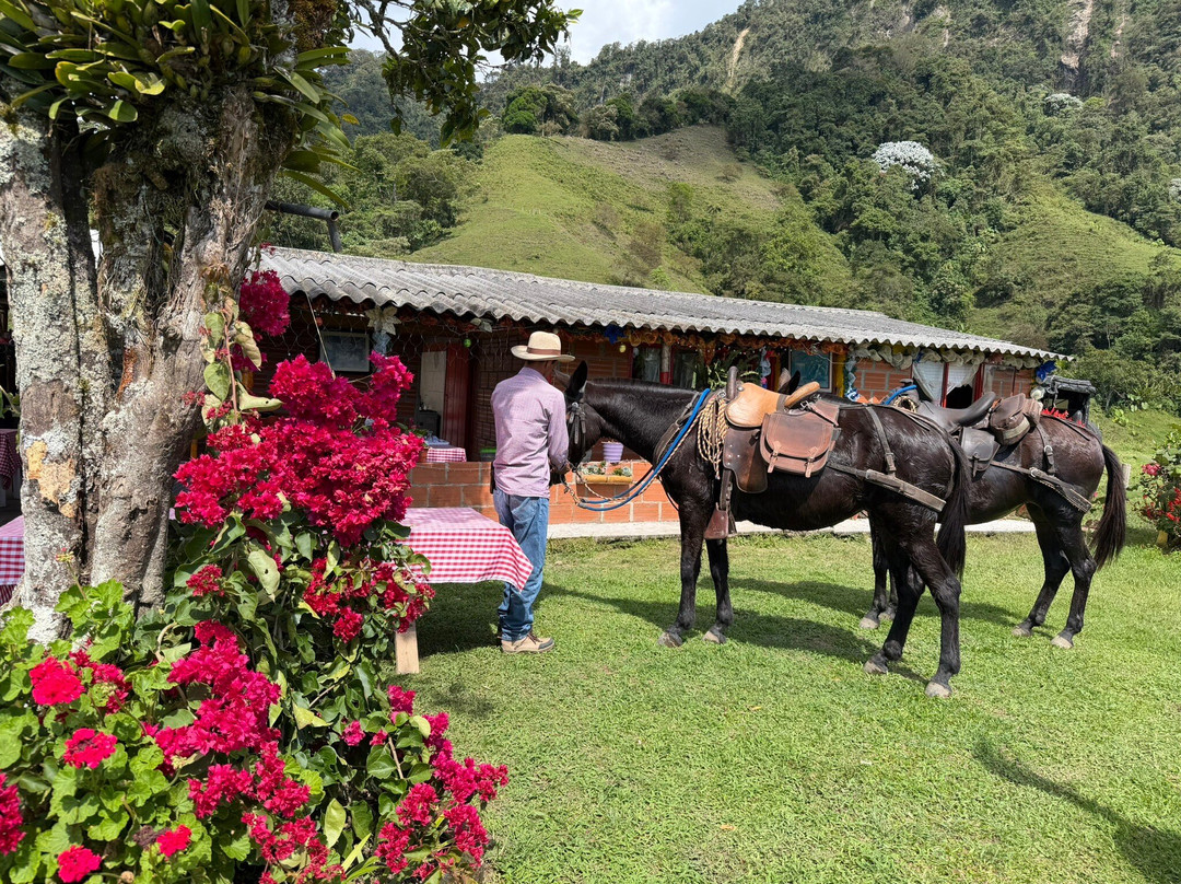 LA JUANA COLOMBIA-Neira必去景点