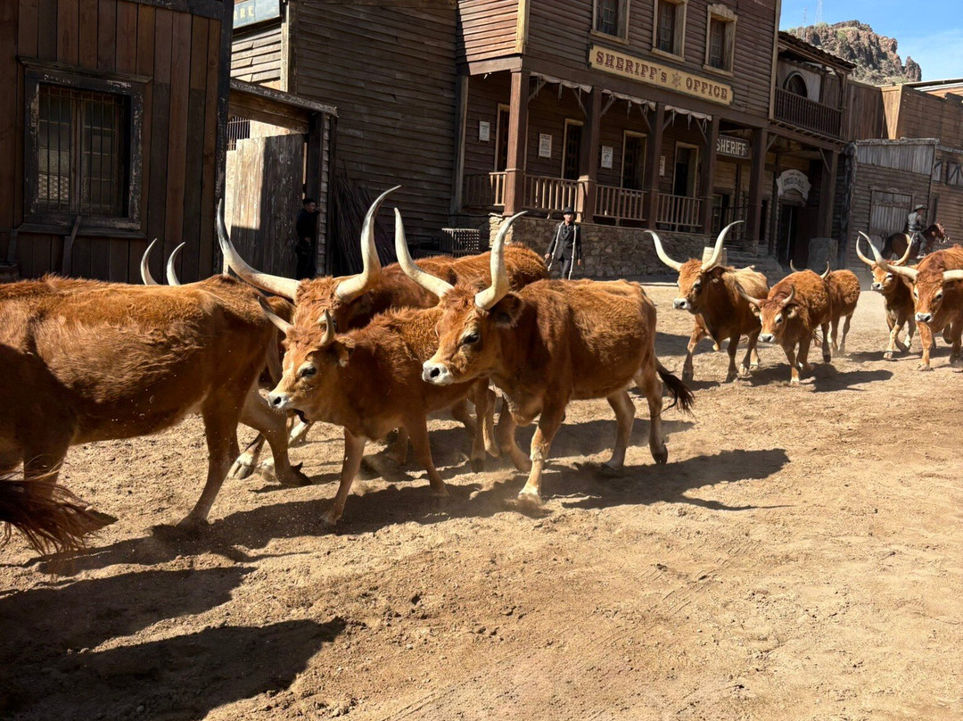 苏城-San Bartolome de Tirajana必去景点