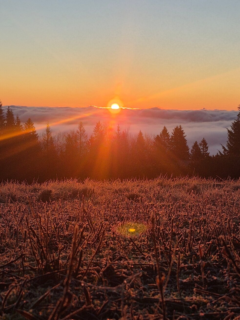 沃克森纳森酒店-官方