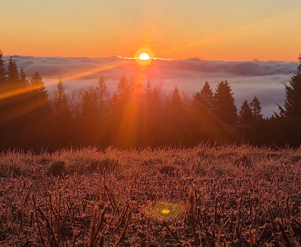沃克森纳森酒店主图
