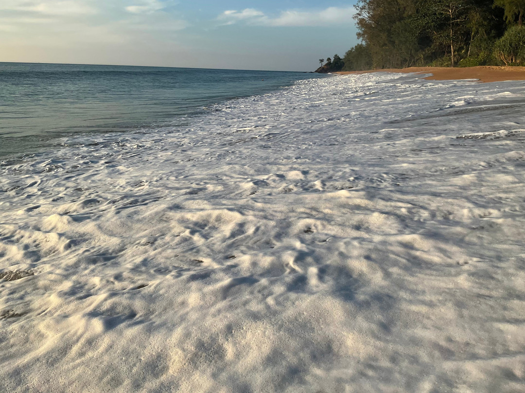 金佛海滩度假村主图