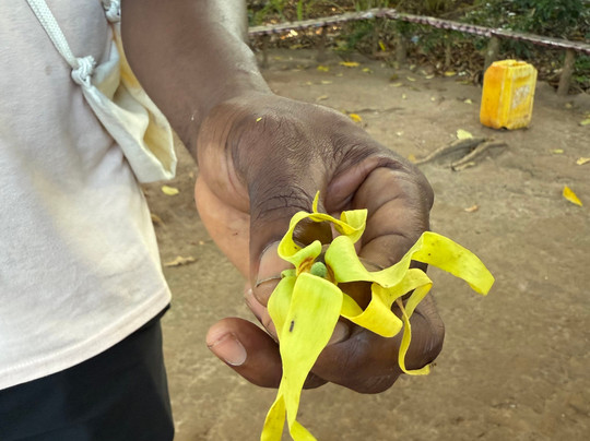 Moha Zanzibar Tours-石头城必去景点