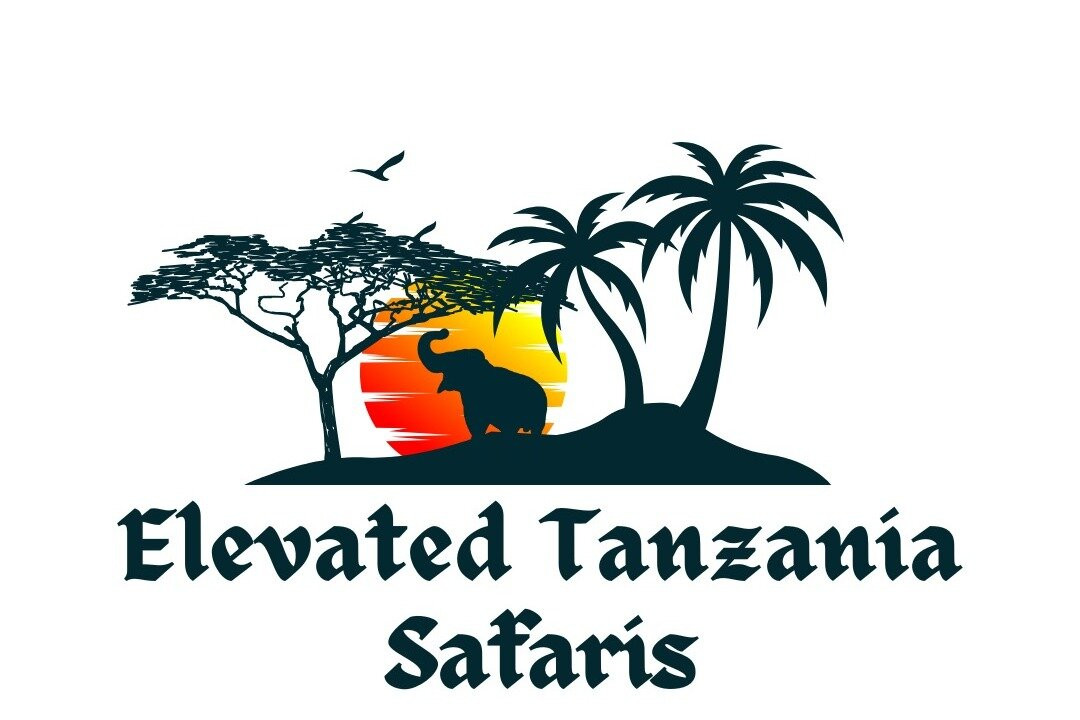 Elevated Tanzania Safaris