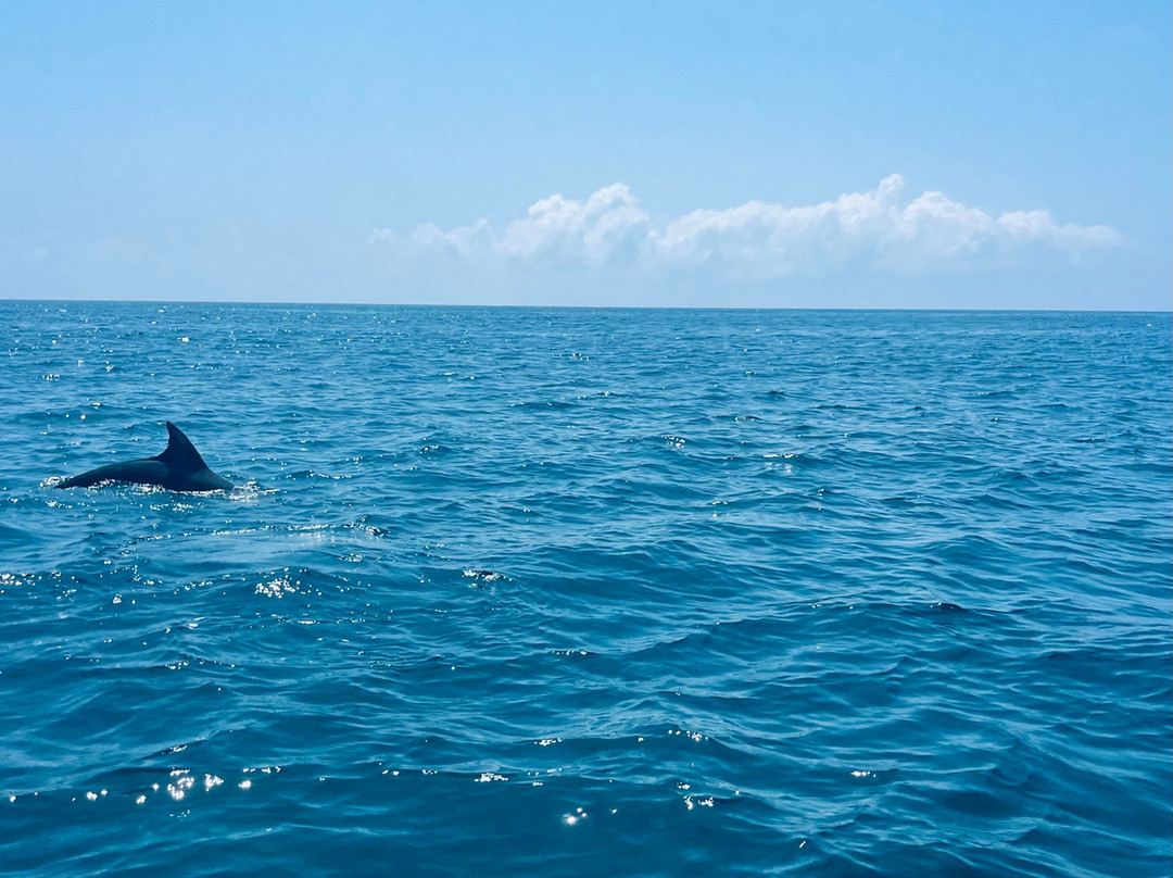 Marafiki Holidays-马林地必去景点