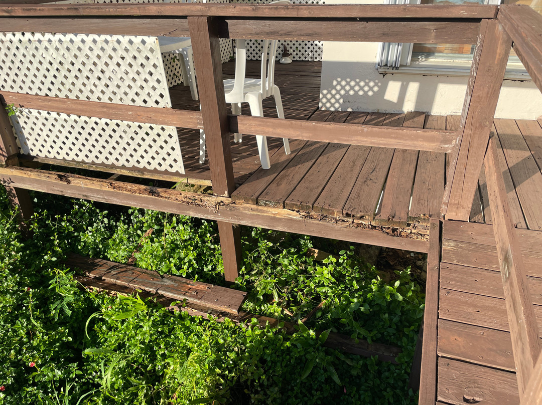 Hummingbird House主图