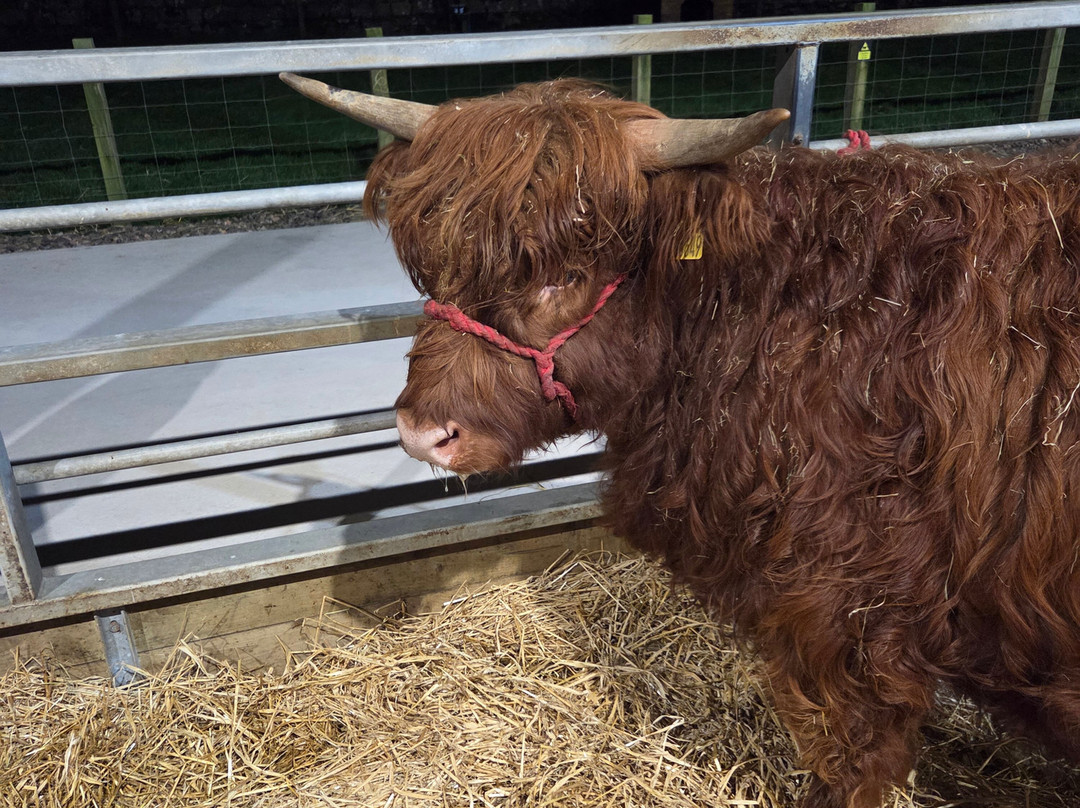 Farm Stop-Portlethen必去景点