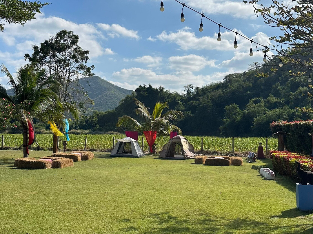 考艾自然生活及旅游主图