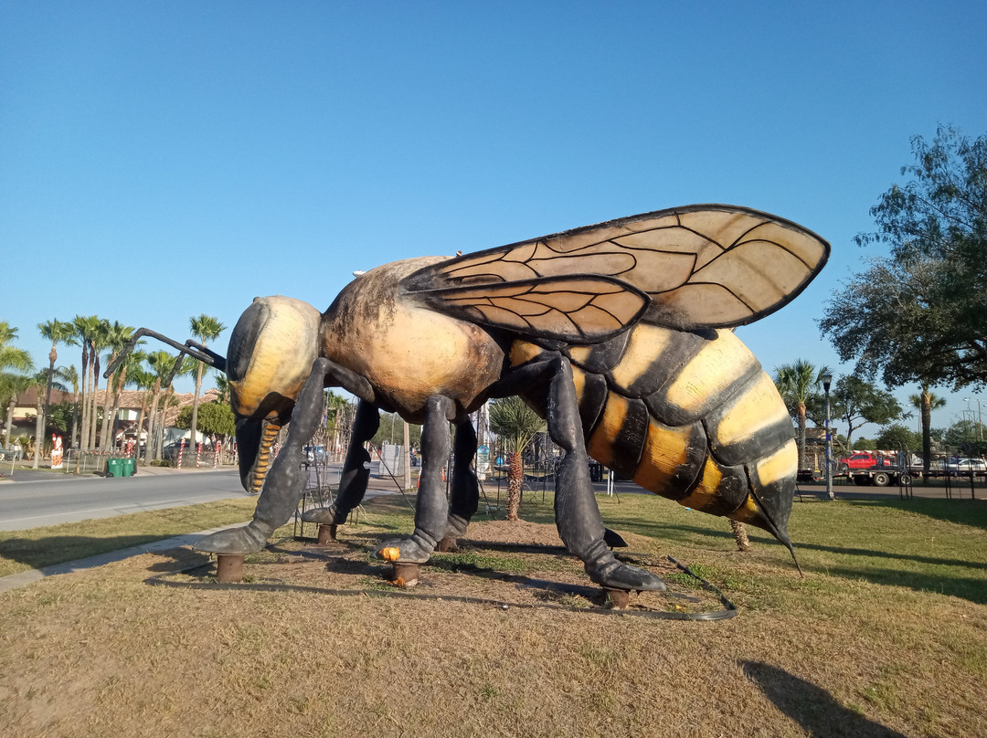 World's Largest Killer Bee-Hidalgo必去景点