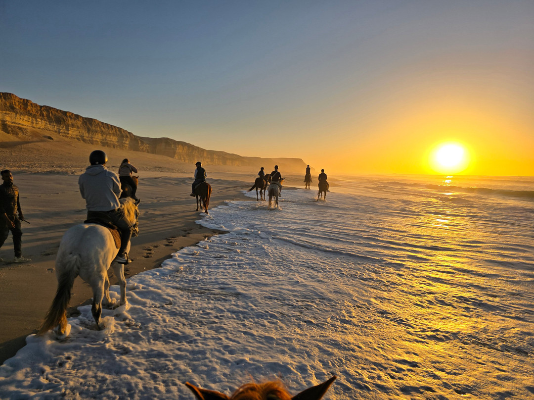 Ranch Des Dunes-达赫拉必去景点