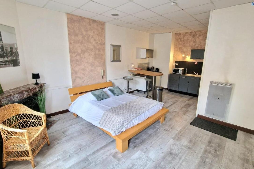 Appart hôtel Roanne Hyper Centre Ville