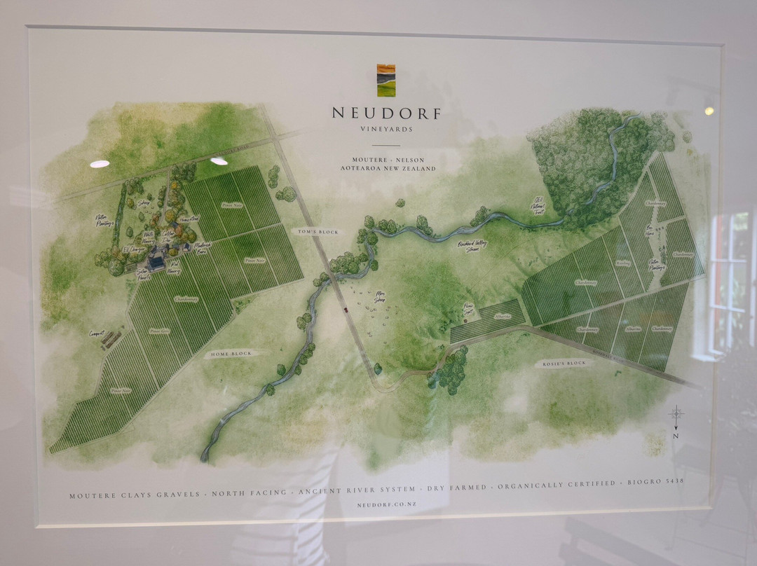 Neudorf Vineyards-Upper Moutere必去景点