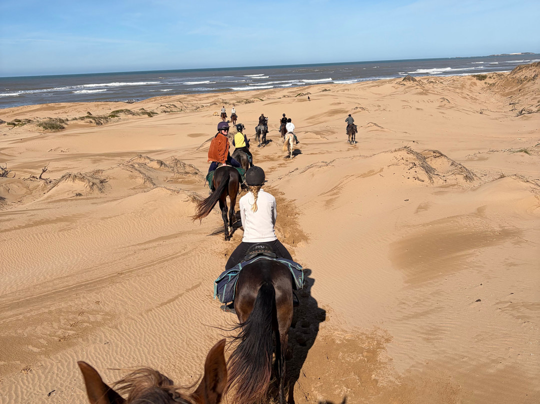 Cheval Essaouira-索维拉必去景点