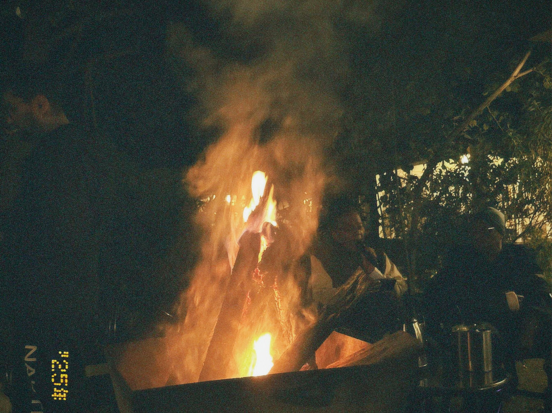 Tathastu Tadoba主图