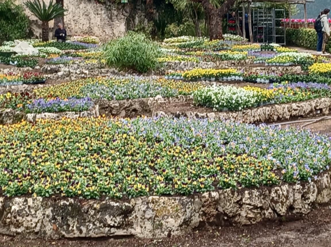 Giardini di Villa Rufolo-拉韦洛必去景点