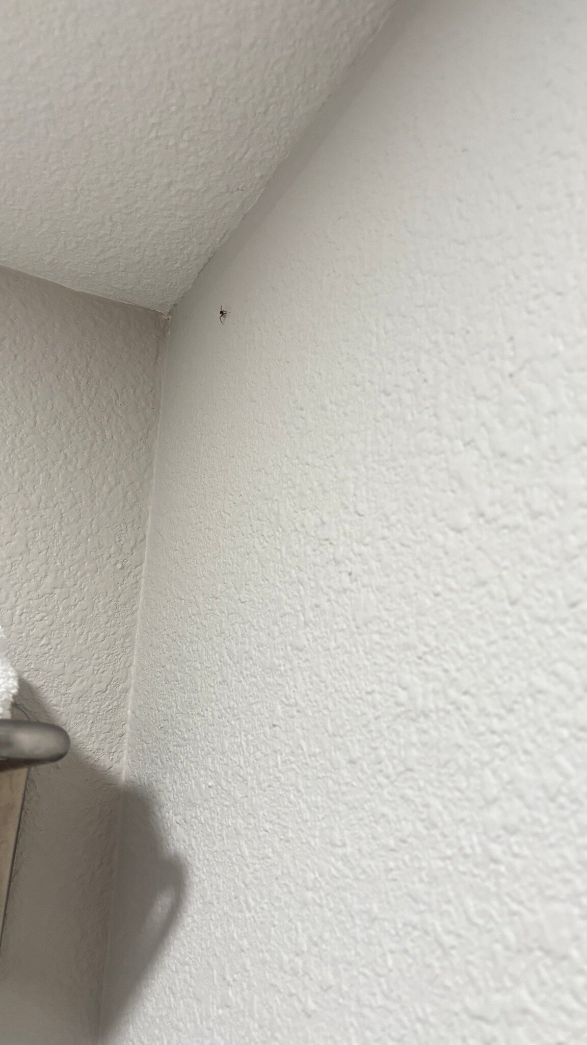 Best Western Lake Okeechobee-官方