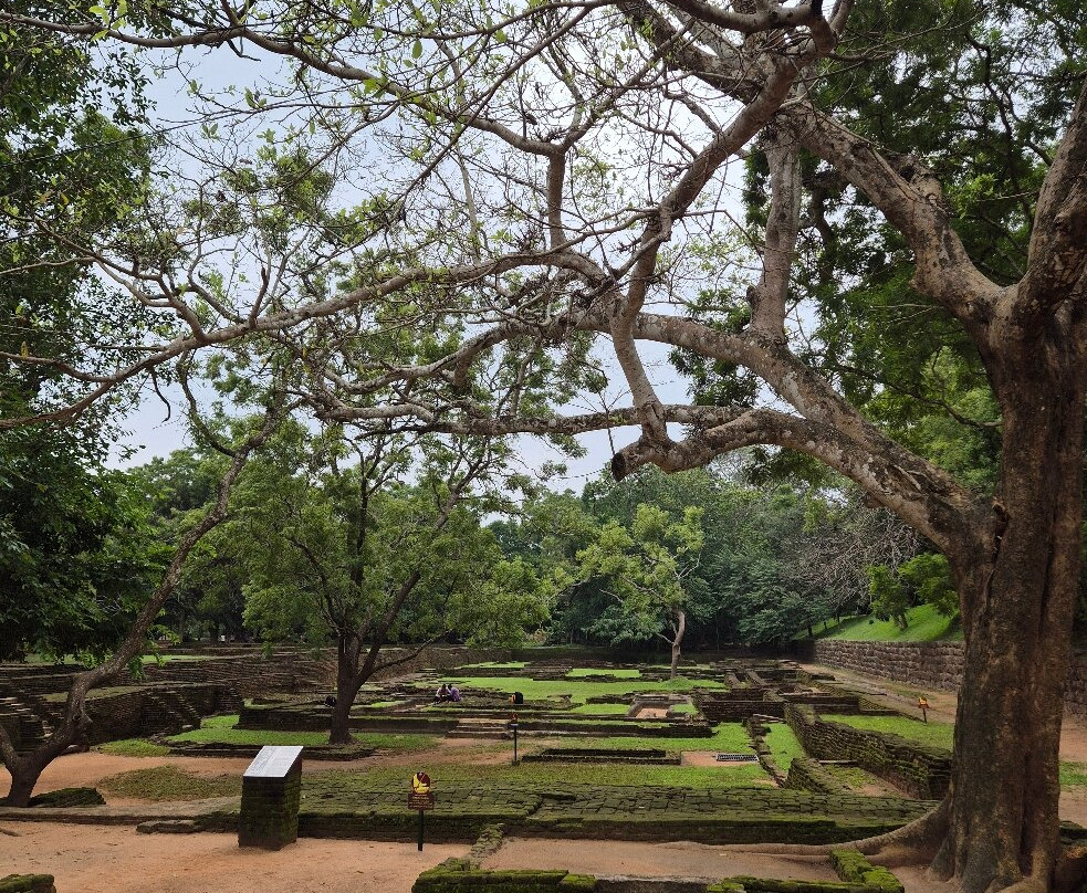 Sri Lanka Driver Tours-Yatiyana必去景点