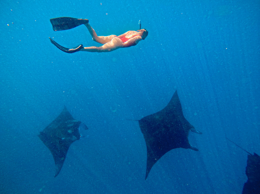 Dive Academy Fiji-Waiyevo必去景点