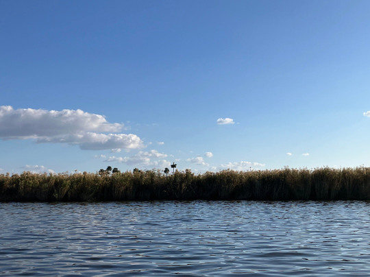 Black Hammock Adventures-Oviedo必去景点