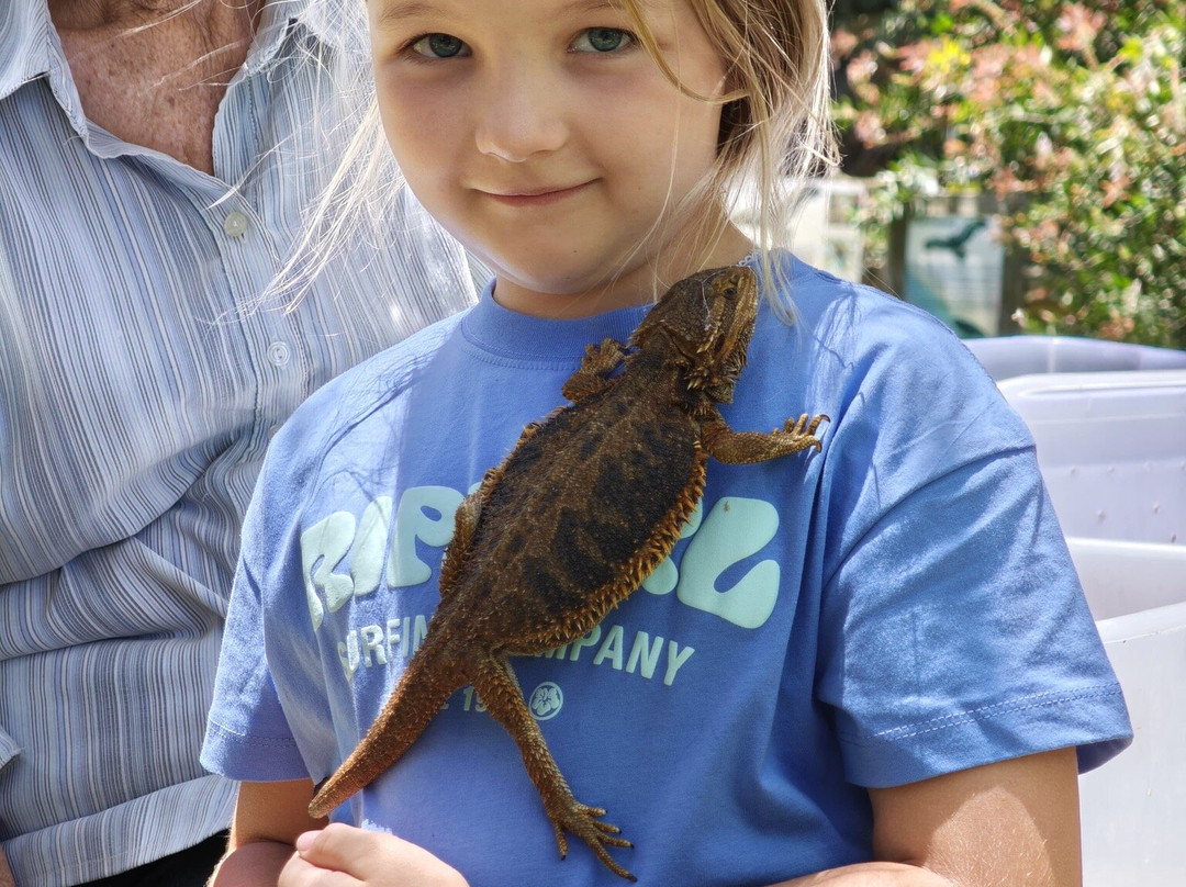 Jirrahlinga Dingo Conservation & Wildlife Education Centre-Chewton必去景点