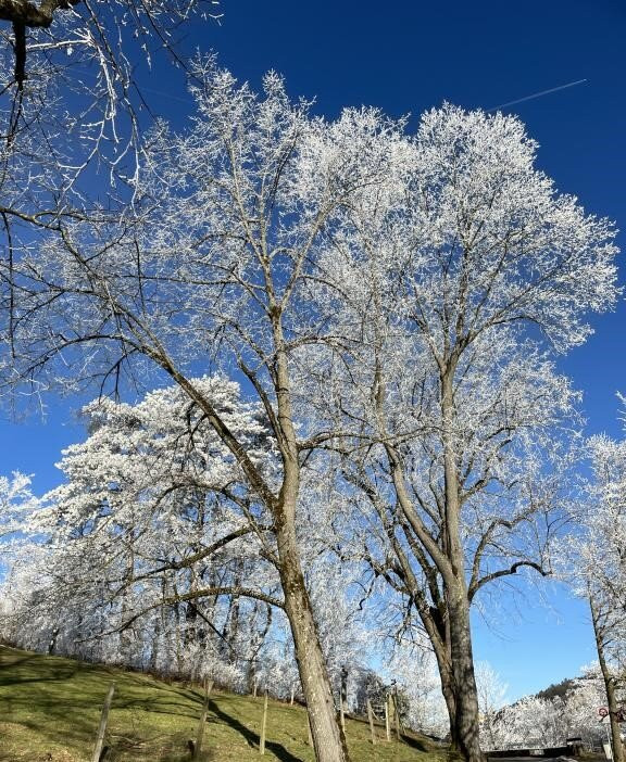Vorbourg Point de vue Notre Dame du Chêne-德莱蒙必去景点