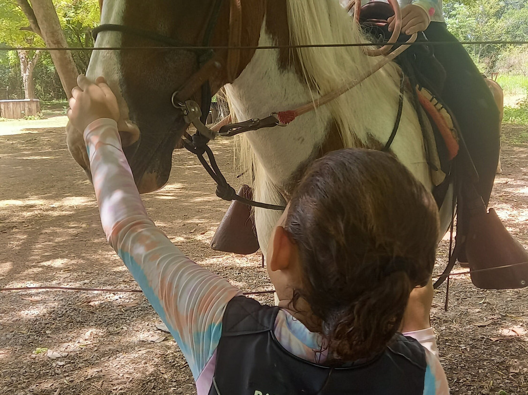 Parque Ecológico Rio Formoso-博尼图必去景点