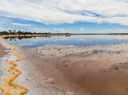 Lake Gilles Conservation Park-Kimba必去景点