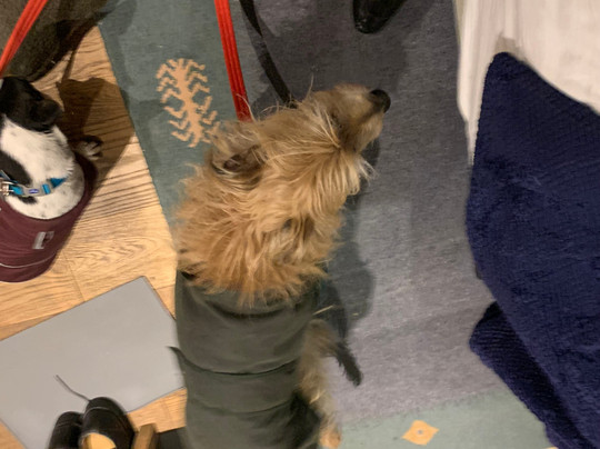 布里埃尔菲尔德酒店主图