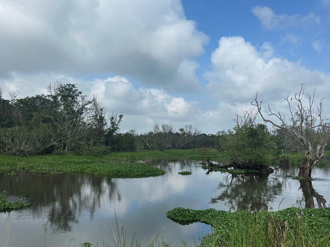 Around Pearl Tours-唐卡拉必去景点