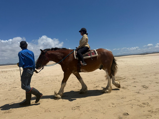 Featherfoot Beach Horse Trails & Riding School-杰佛瑞湾必去景点