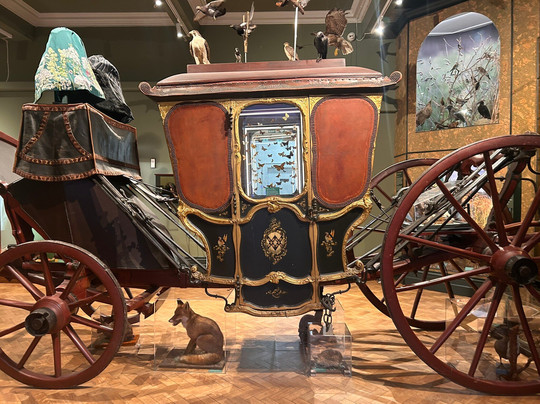 Cornwall Museum And Art Gallery-特鲁罗必去景点