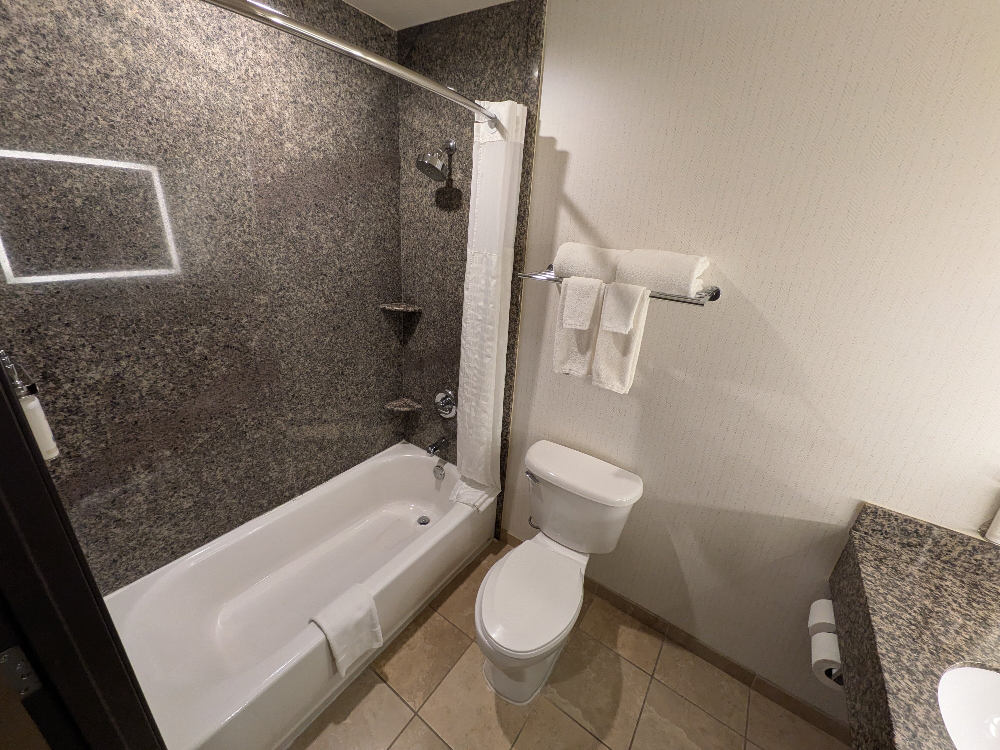 Holiday Inn Ontario By Ihg-浴室