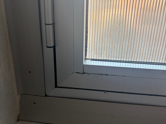 Hotel Delle Mimose主图