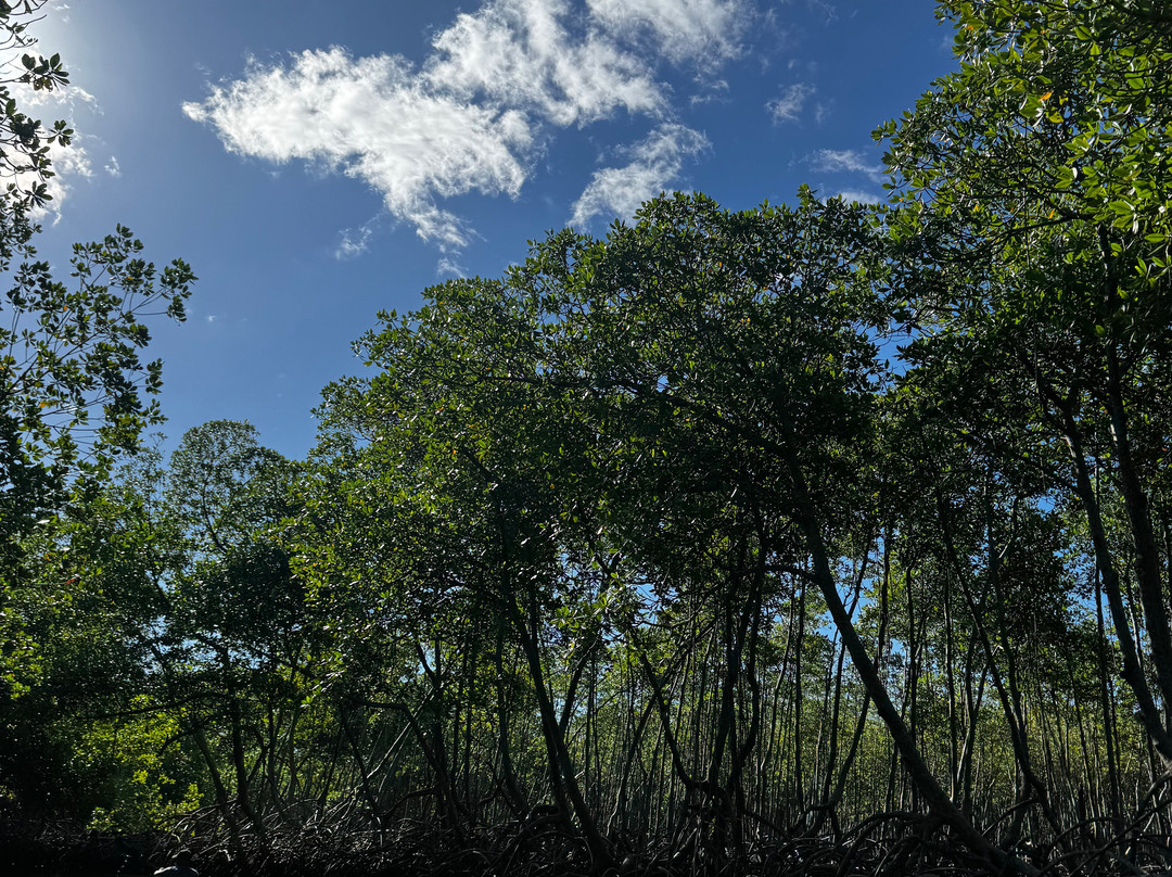 Booking Adventures-Sabana de la Mar必去景点