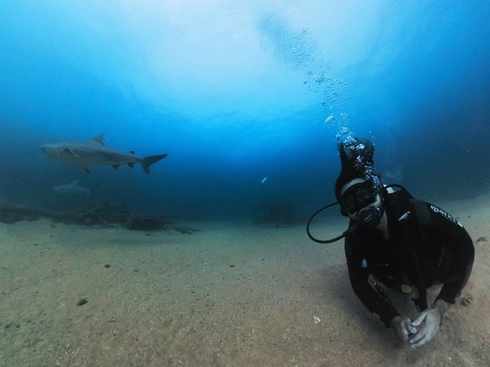 Cabo Pulmo Travel-Cabo Pulmo必去景点