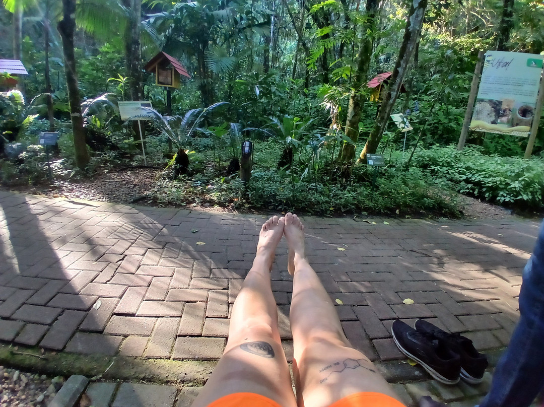 Praia do Iporanga-瓜鲁雅必去景点