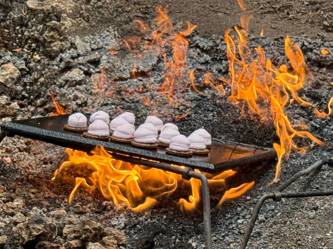 Inland Adventures - Day Tours-雷夫顿必去景点