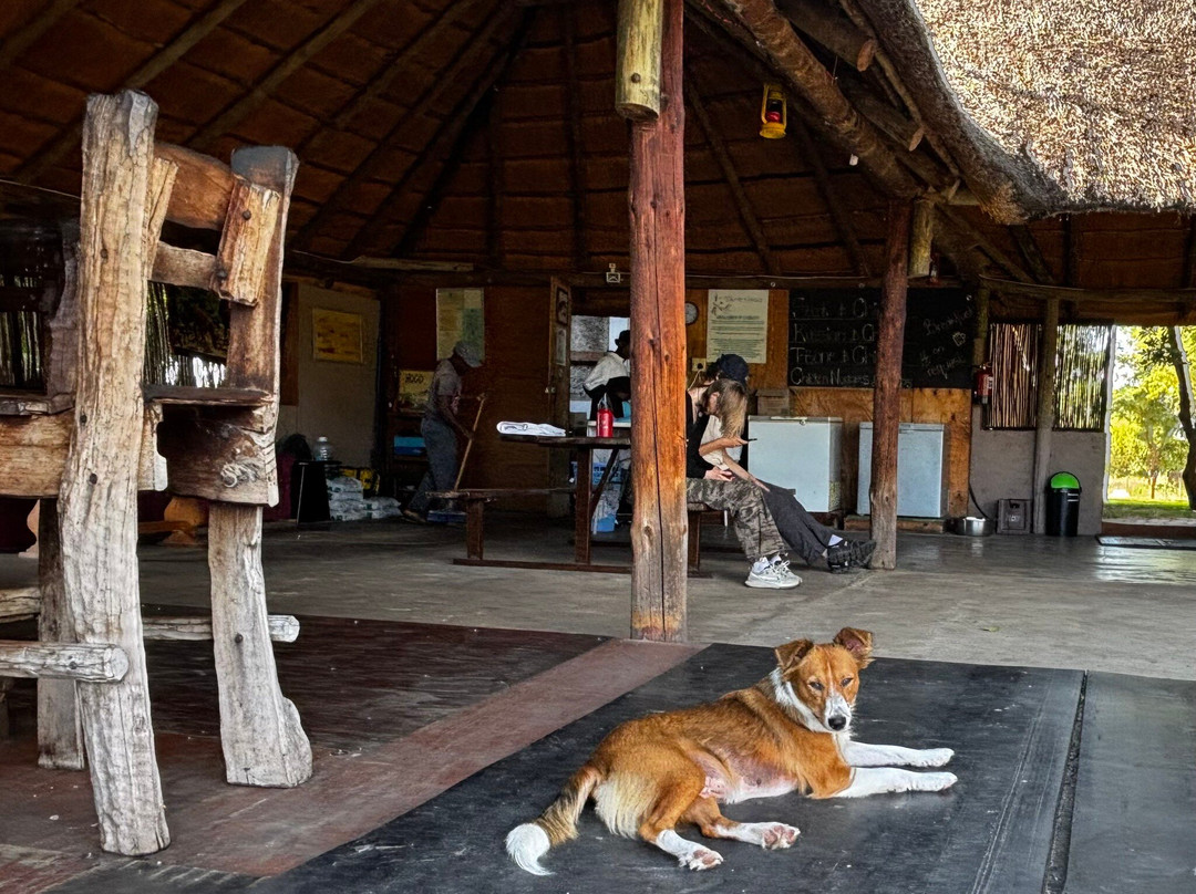 Camp Hogo Kavango
