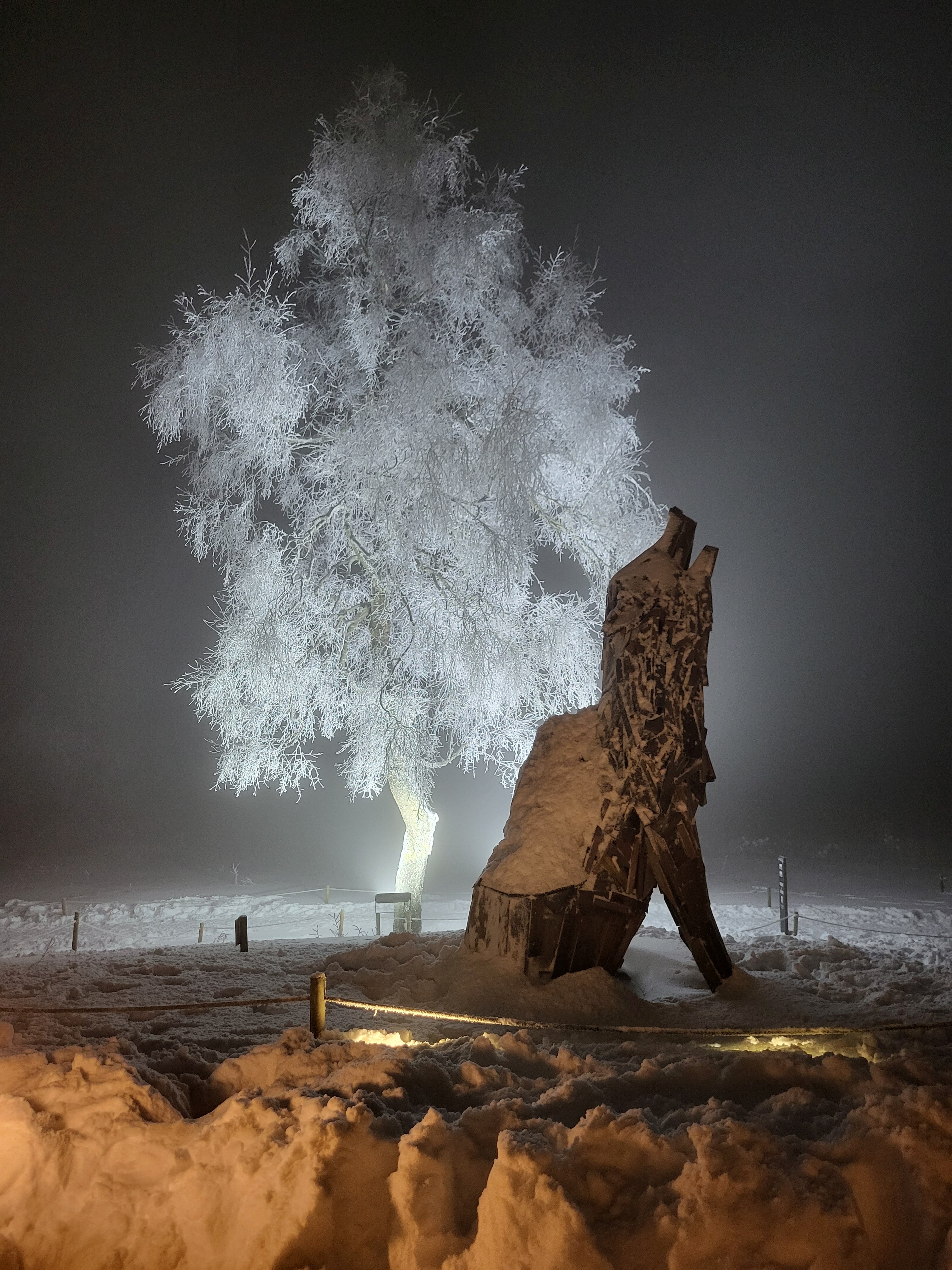 Le Mont Rigi Nature Hotel-官方