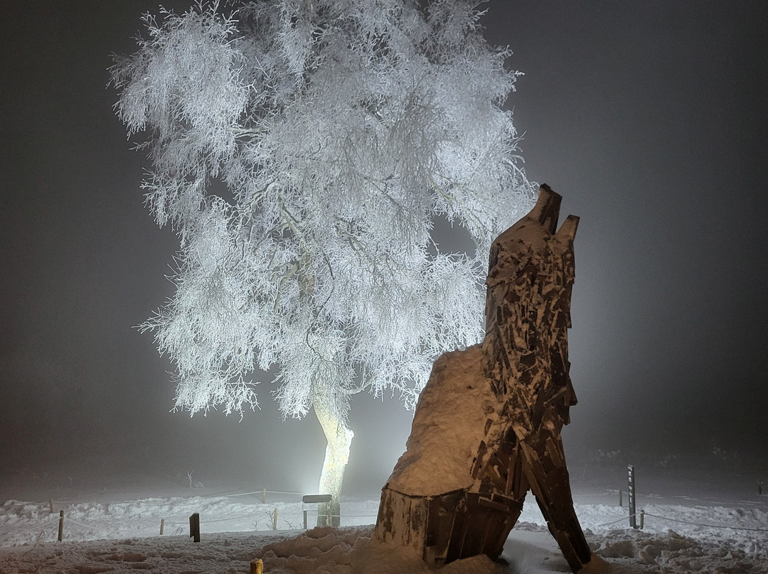 Le Mont Rigi Nature Hotel主图