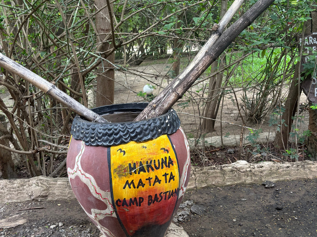 Asante Bibi Safaris And Tours-莫西必去景点