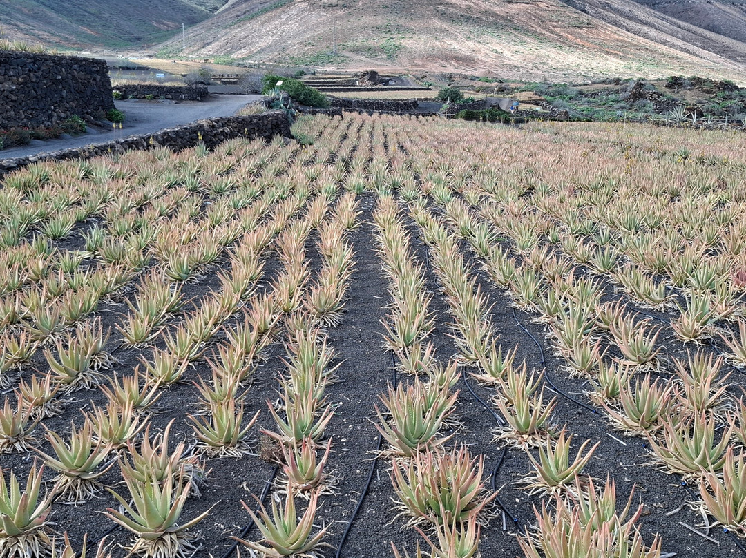 Lanzaloe-兰萨罗特必去景点