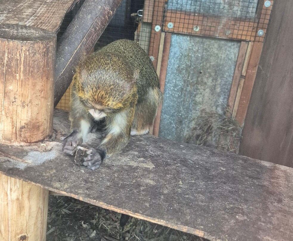 Fife Zoo-库珀必去景点