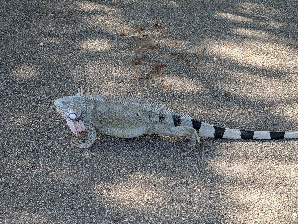 Hato Caves-威廉斯塔德必去景点