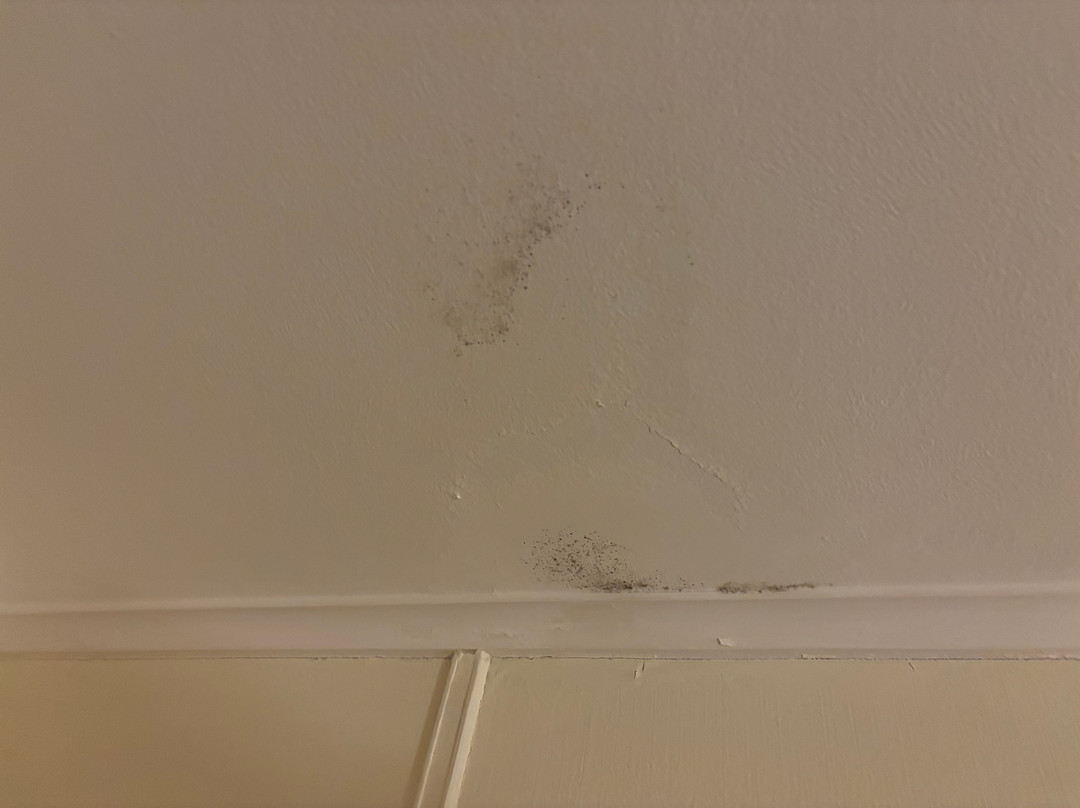 Bassenthwaite Lake-Bassenthwaite必去景点